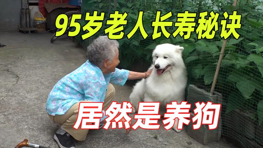 王者荣耀,626969澳彩开奖查询0,准确资料解释落实_破例版V13.66